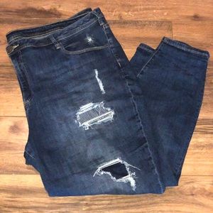 Gently used Lane Bryant jeans